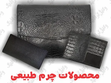 وکیل دادگستری